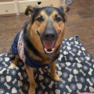 Meet your Posher, Jacqui